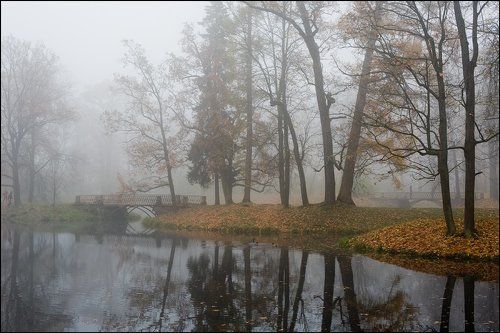 Misty