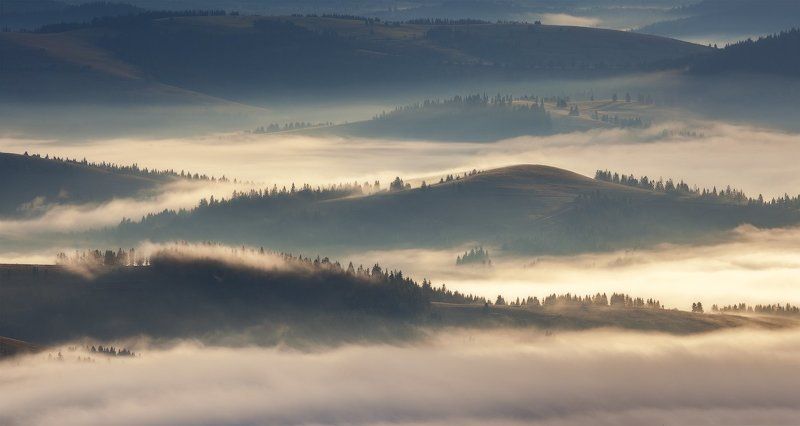 Карпатское спокойствиеphoto preview