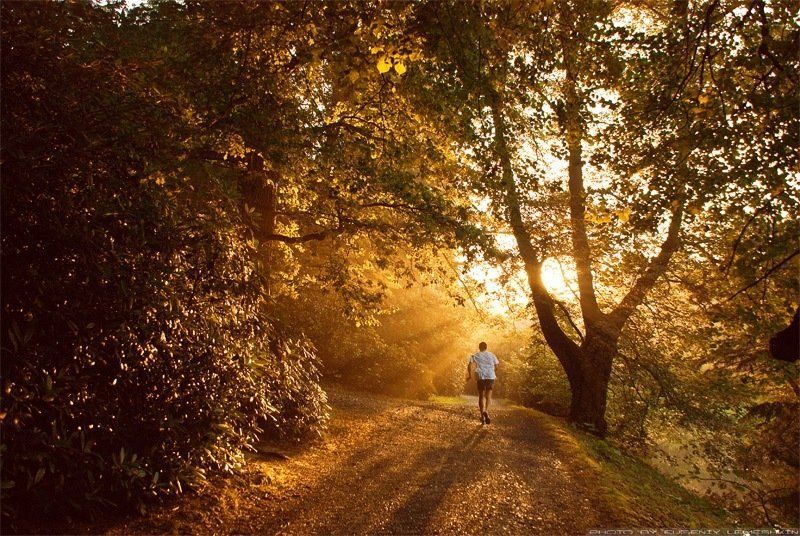 В погоне за временем..photo preview