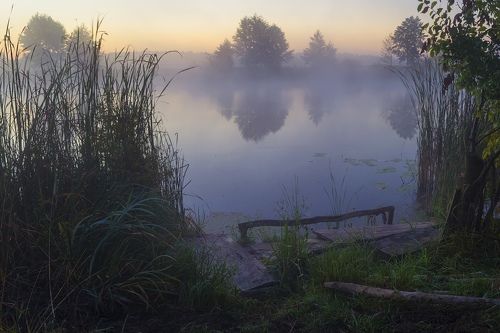 Река в тумане