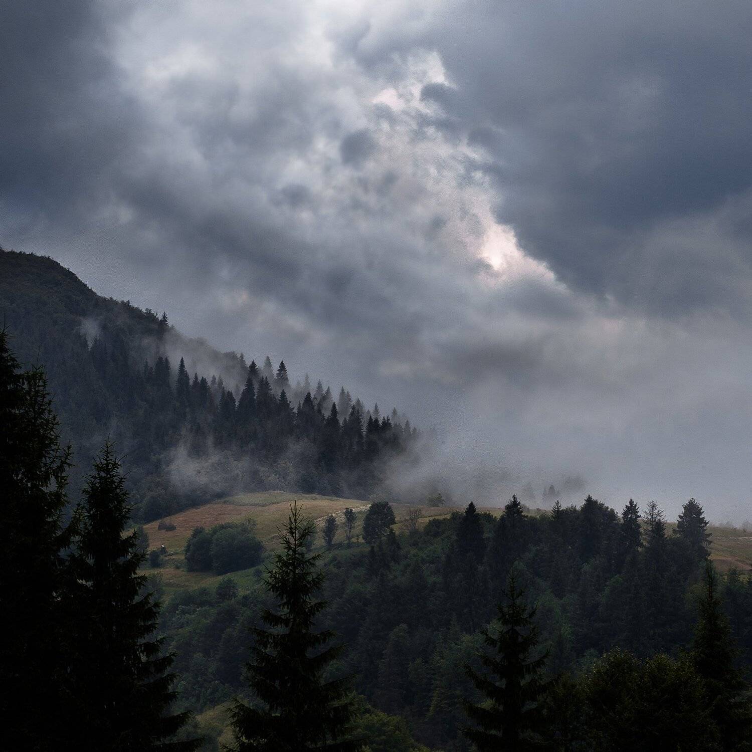 fog, landscape, landscapephotography, mountain, mountainlandscape, mountains, mountainscape, scape, ukraine, foggylandscape, пейзаж, горы, облака, туман, украина, Полина Хрол