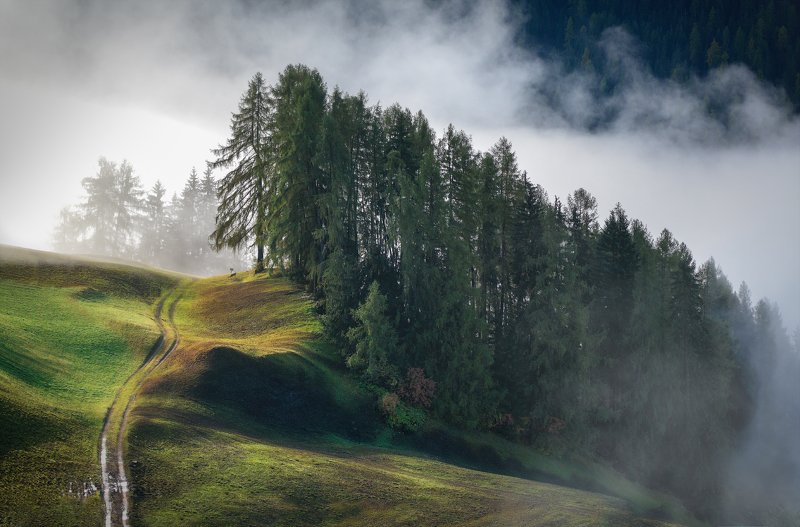 Италия, Альпы Опушкаphoto preview