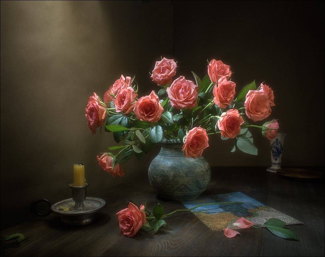 , Stein Georg