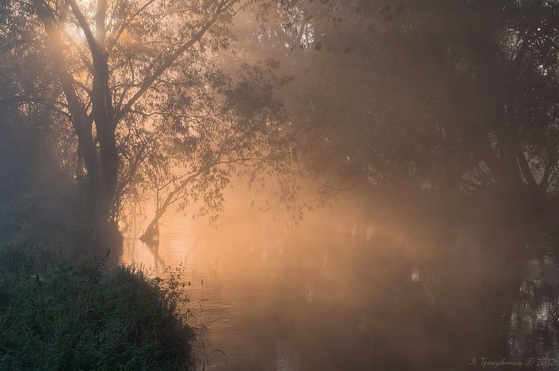 Утренний туманphoto preview