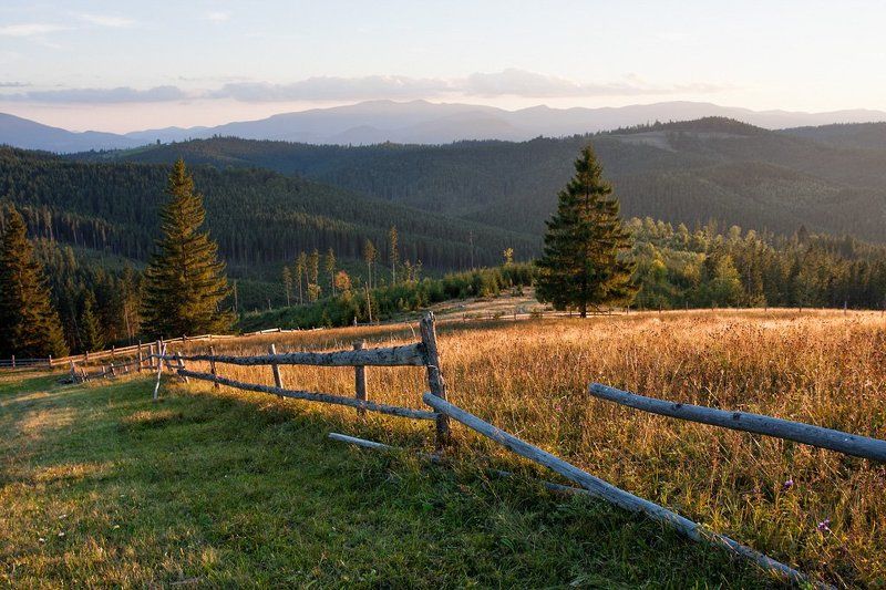 Вечерелоphoto preview