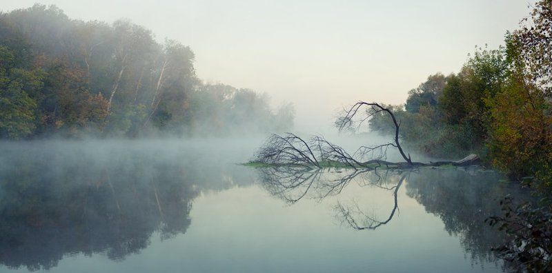 Рождение клинкаphoto preview