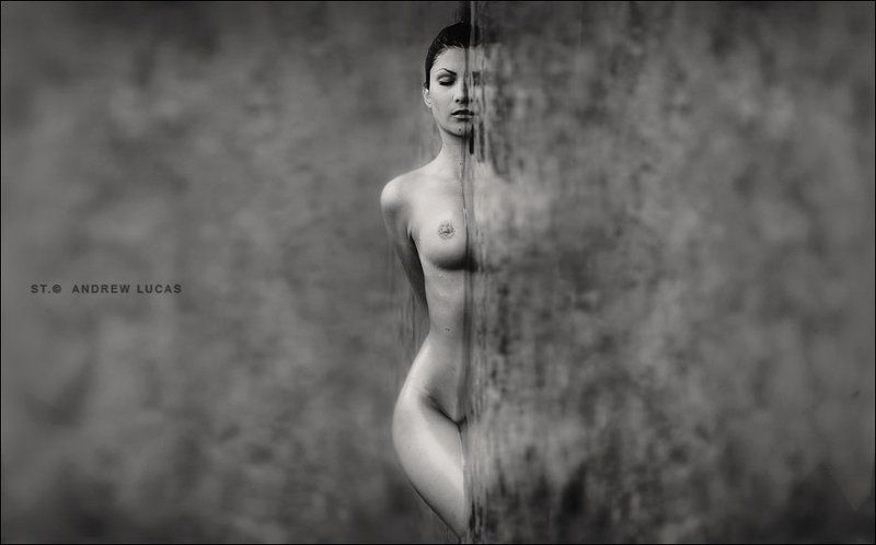 lucas, lucastudio Summertime IIphoto preview