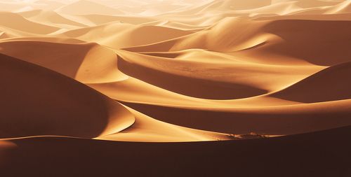 Yellow wave #2