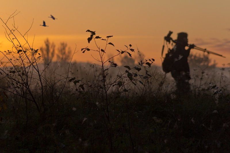 Камо Грядешиphoto preview