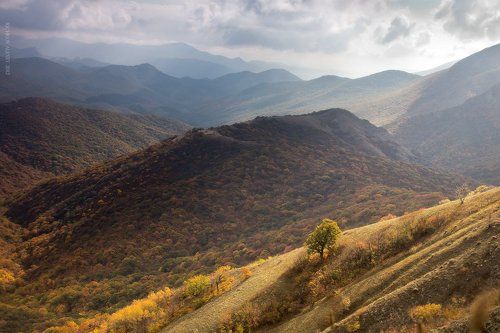 Крым Осенний