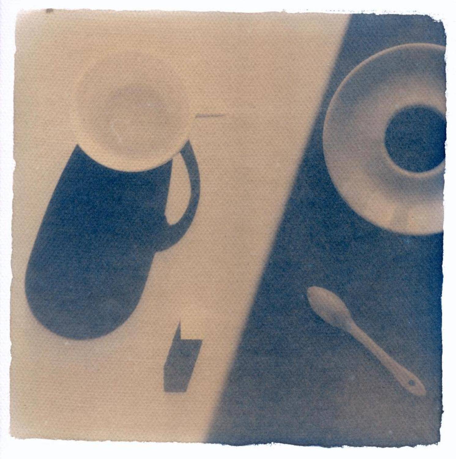 цианотип, Игорь Филипенко