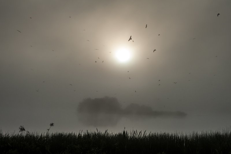 I walk around Warmiaphoto preview