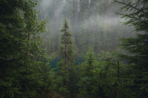 После грозы