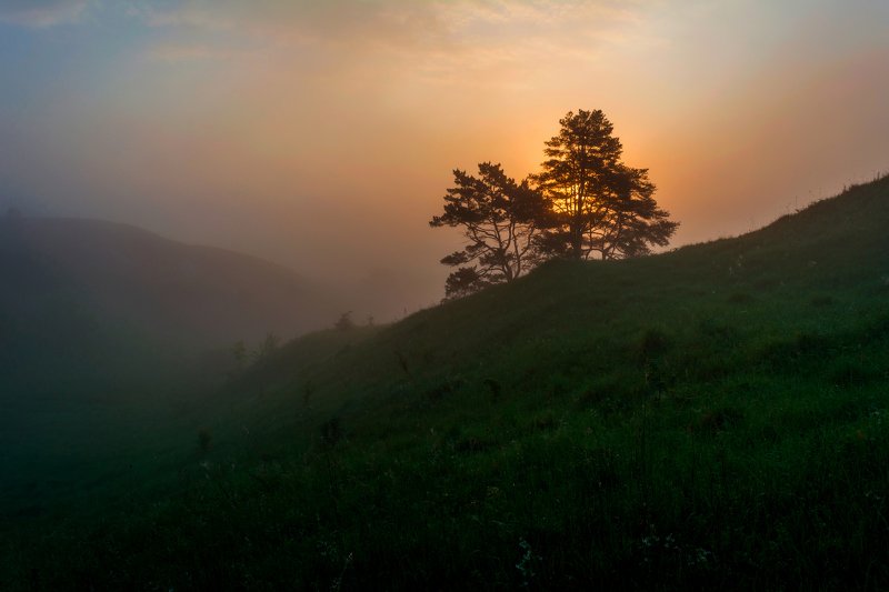 рассвет,туман,район села архангельское ***photo preview