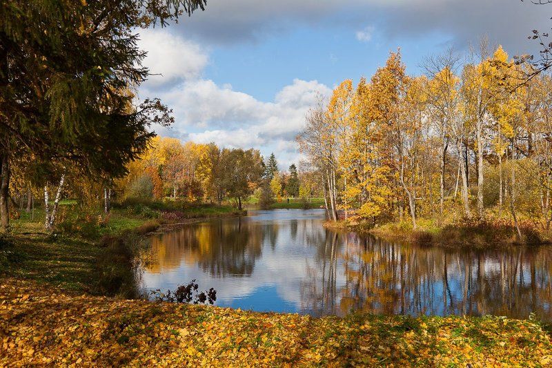 осень, парк Просто осень.photo preview