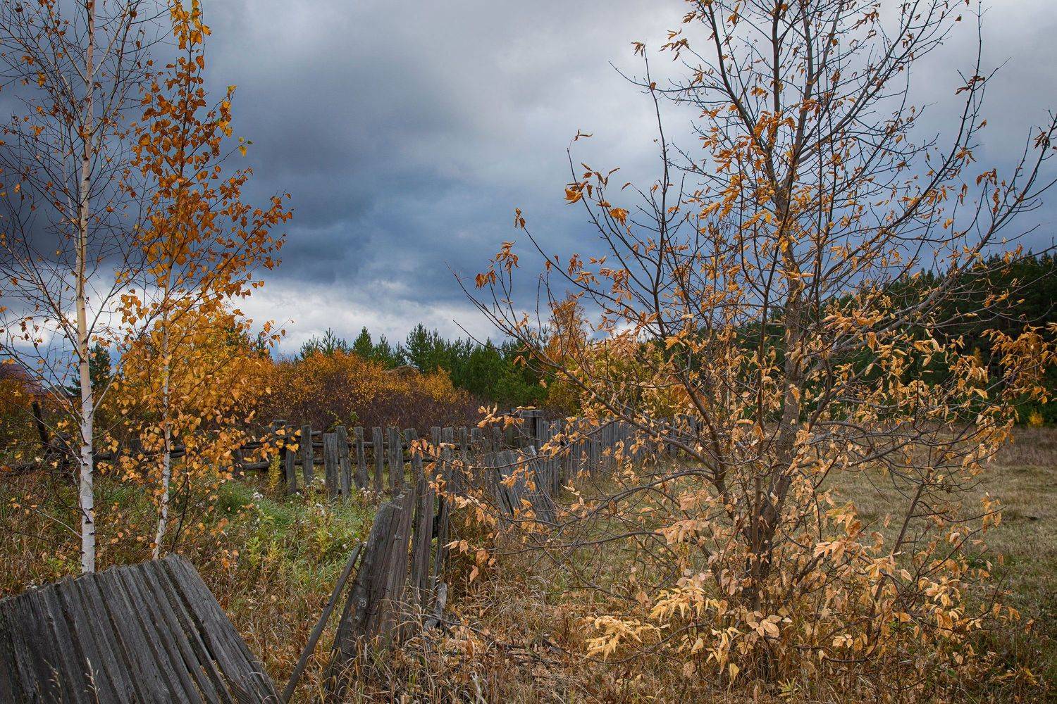 , Вера Лопатина