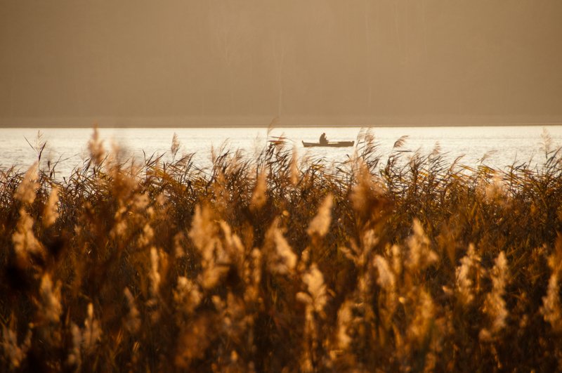 I walk around Warmiaphoto preview