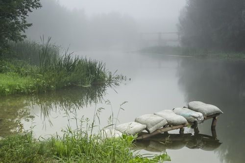 Река в тумане