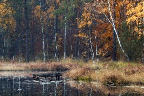 in the fall