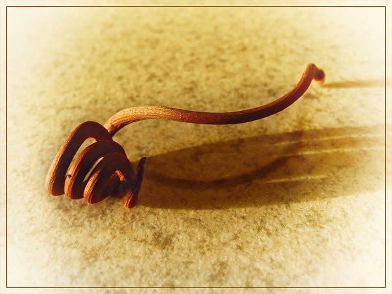 @________photo preview