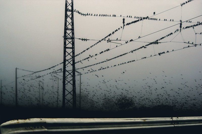 Novemberphoto preview