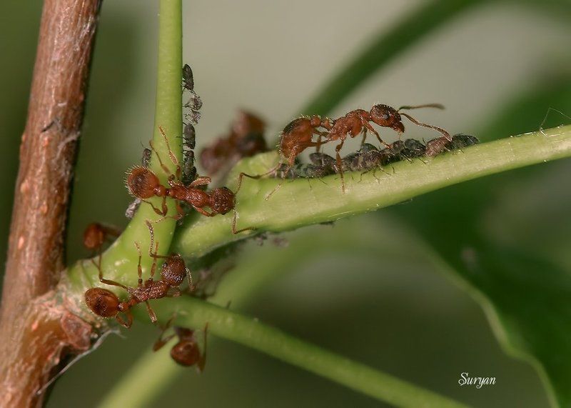 До чего же жизнь красиваphoto preview