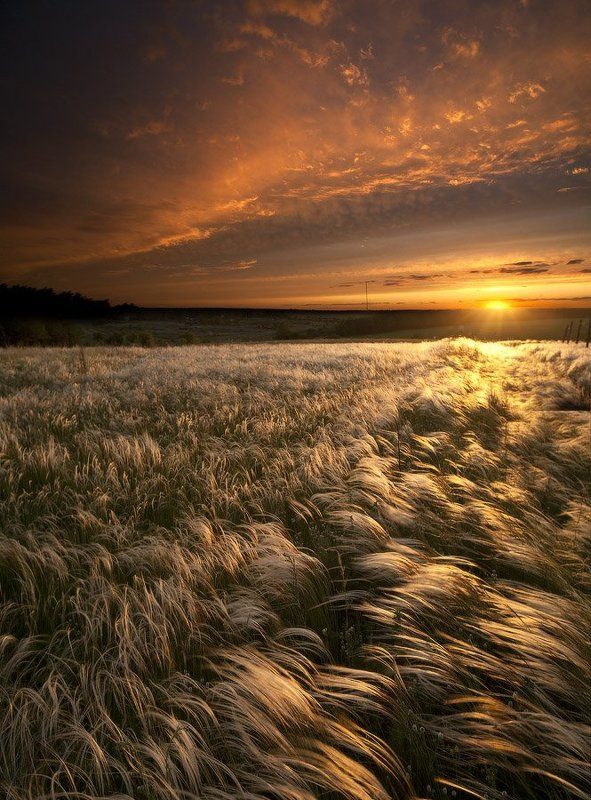 Солярисphoto preview