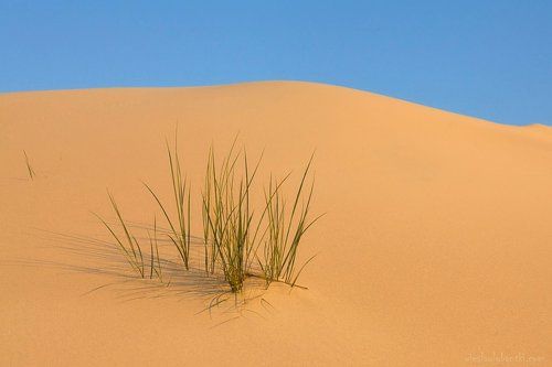 a dune