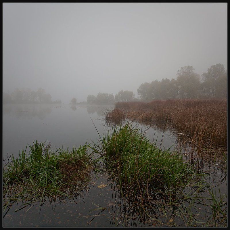 Осень... Утро... Туман...,(2)photo preview