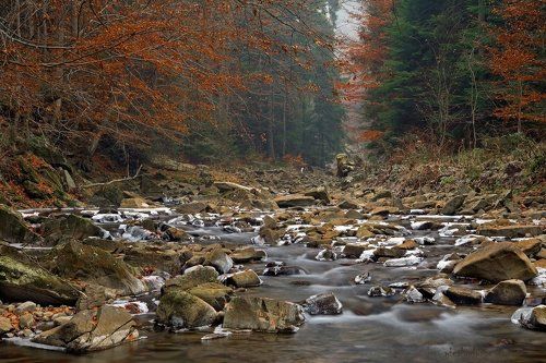 stream