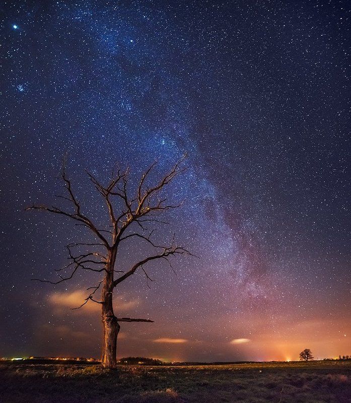 путь к забытому дереву...photo preview