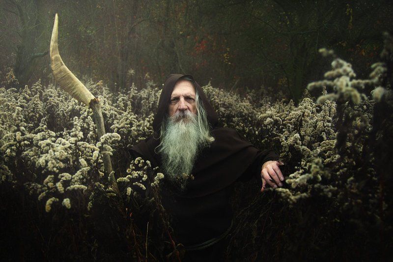 ulfr, wolves, potrait, old, man, wandering, stick, horn Ulfr Wanderingphoto preview