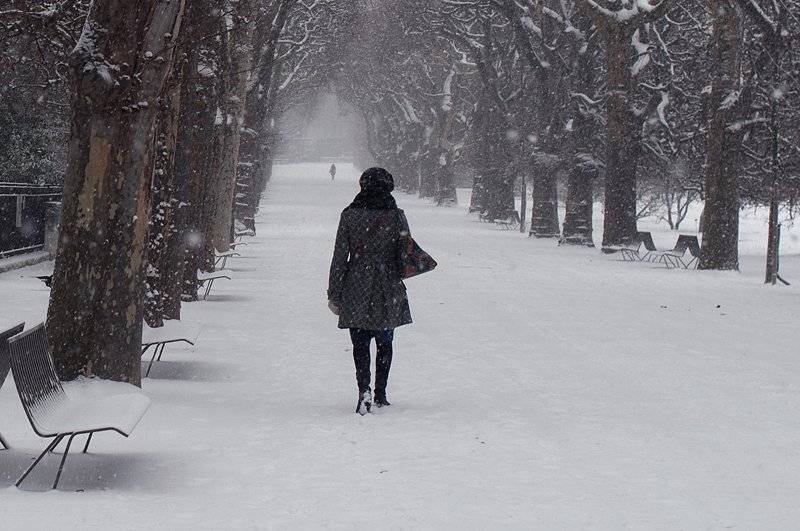 a winter in Paris. Автор: claude ferrara , claude ferrara