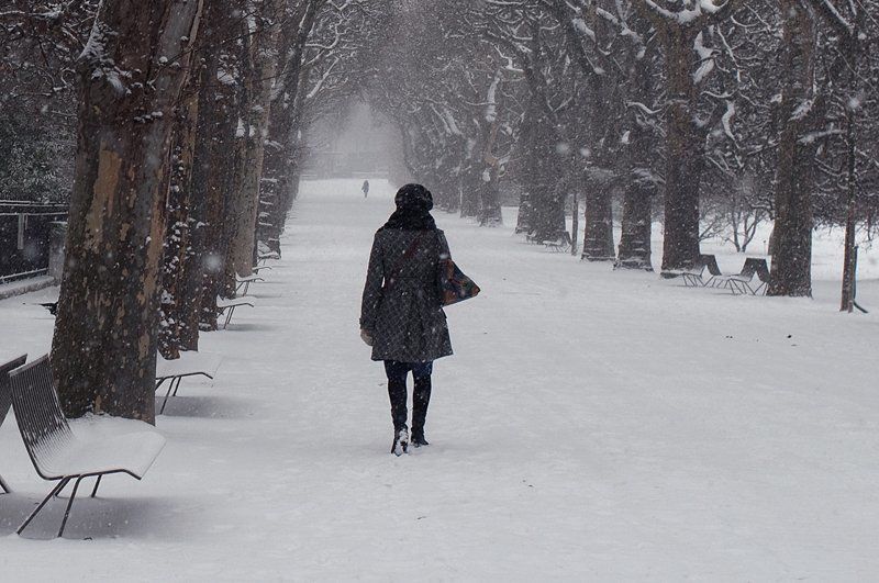 a winter in Parisphoto preview