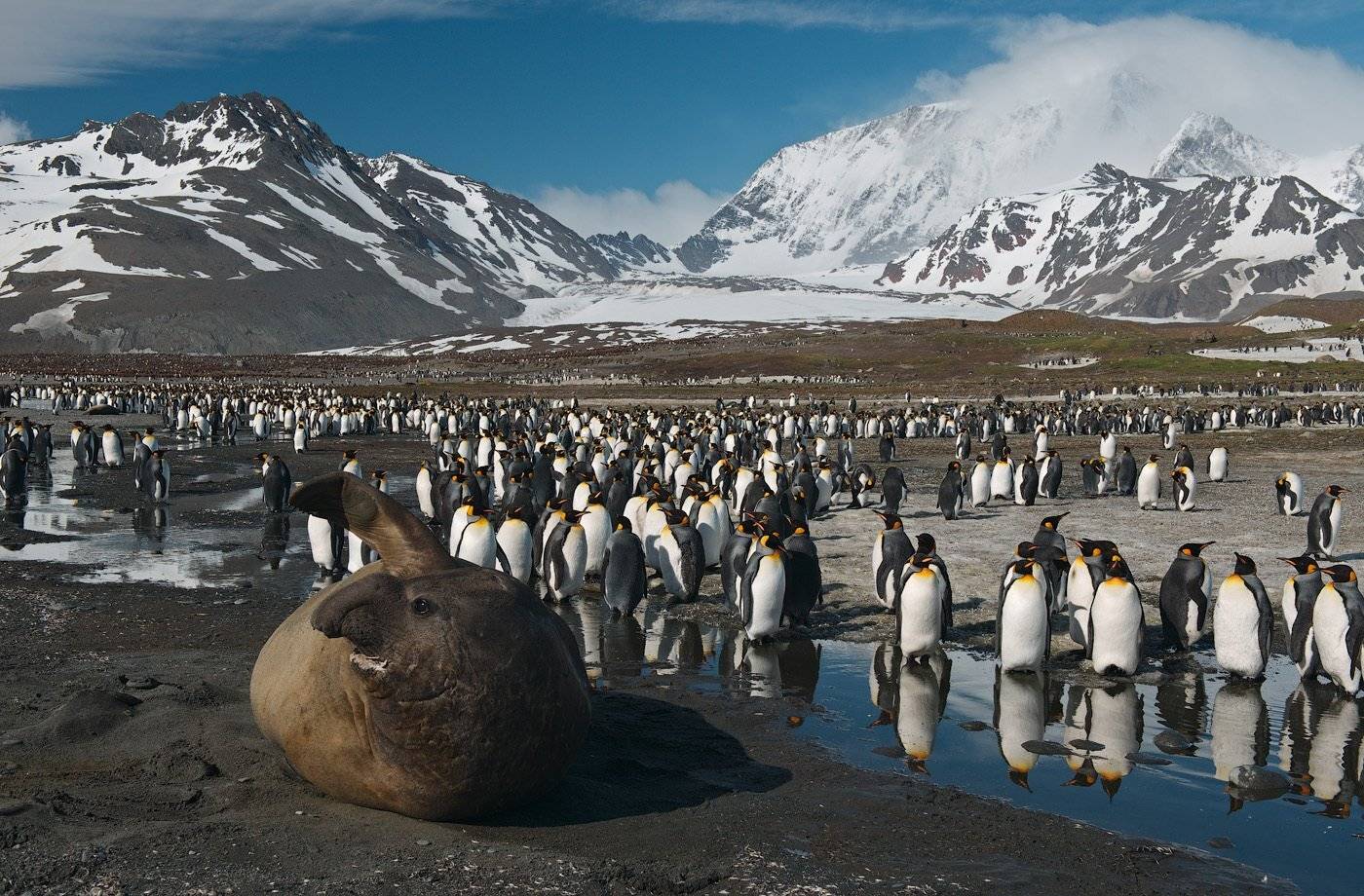 south, georgia, Андрей Ведерников
