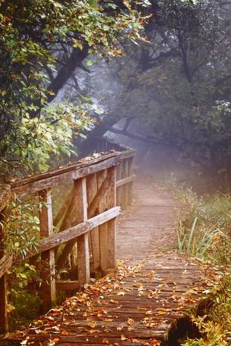 Foggy morning....