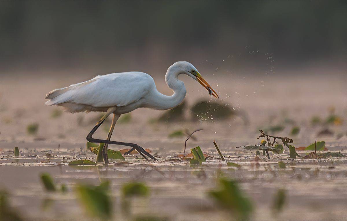 , Sławek Przybylski