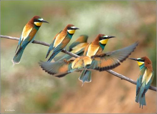 Ну куда ты? Мест нет