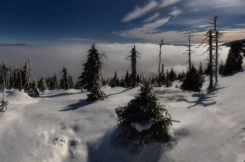 Jeseniky Mountain by the Moonlight