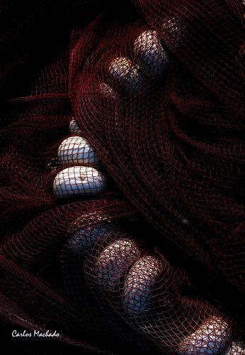 Elegant Fishnets 