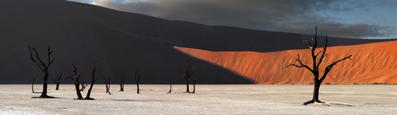 12 разгневанных мужчин (Death is on their minds)photo preview