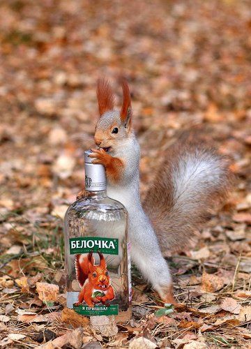 Щас откручу и попробую!