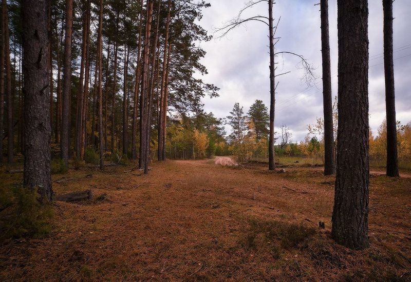 Осеннее утроphoto preview