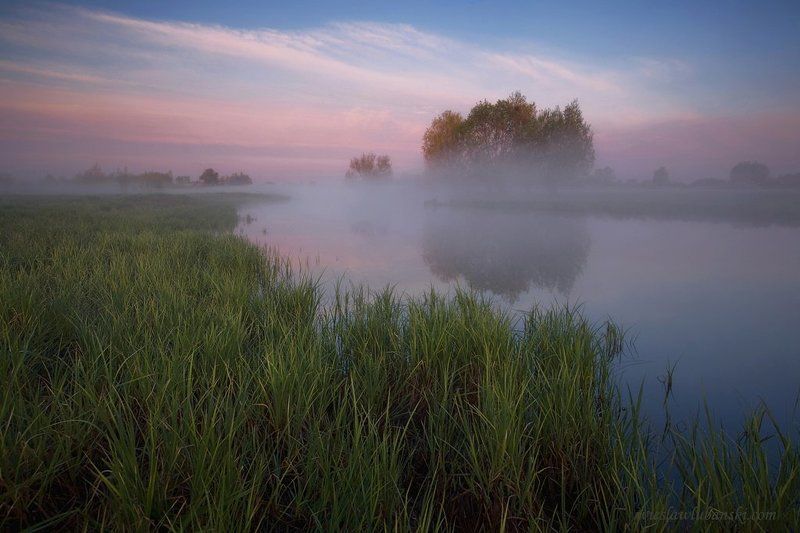 morning morningphoto preview