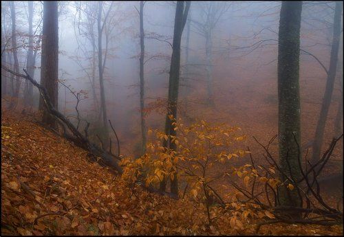Осенний дебют