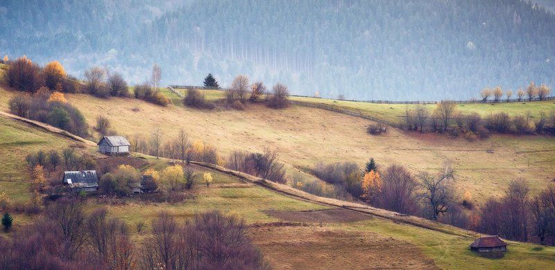 карпаты, осень, утро, свет, лес ...Домишки...photo preview