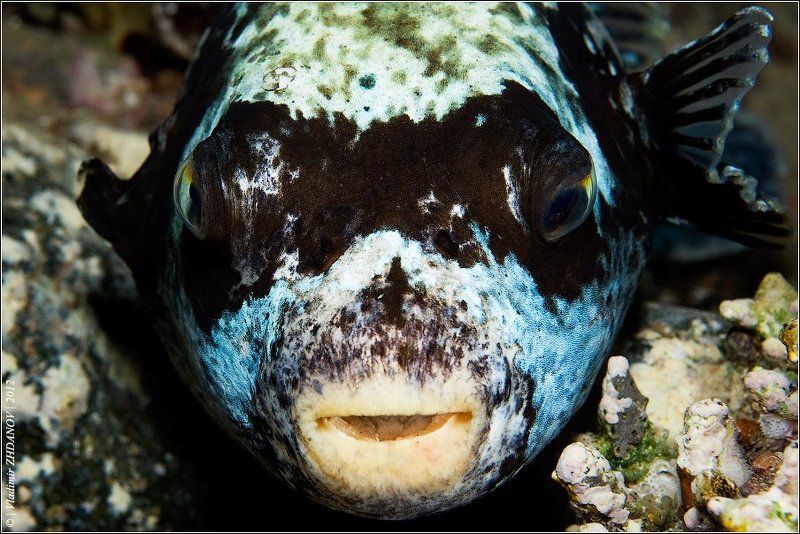 Ты переживала, что у тебя не сексуальные губы...photo preview