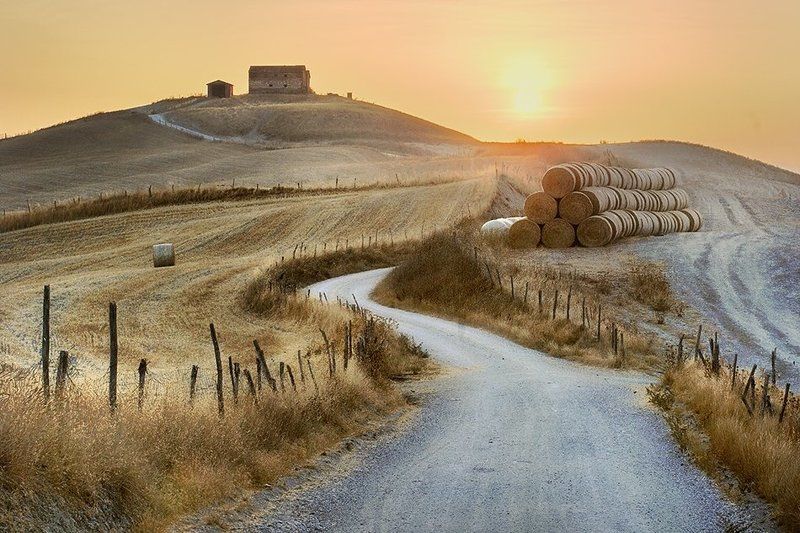 The Roadphoto preview