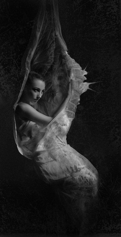 the birthphoto preview