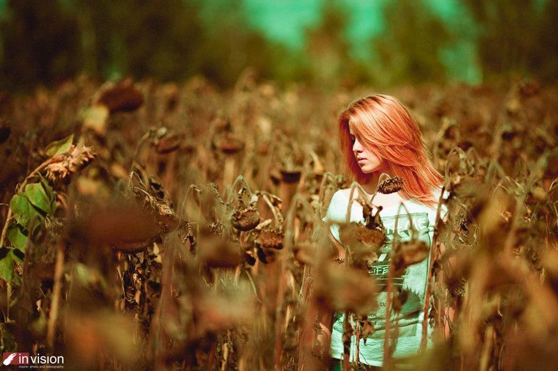 там где мечтыphoto preview